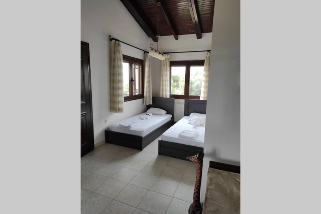 Artemis Penthouse 10 Minute From National Airport Villa Exteriör bild