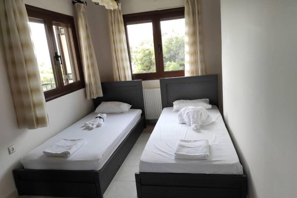 Artemis Penthouse 10 Minute From National Airport Villa Exteriör bild